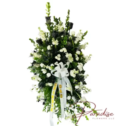 Black and White Serenity Spray featuring black roses, white snapdragons, white stocks, mini carnations, and lush greenery.